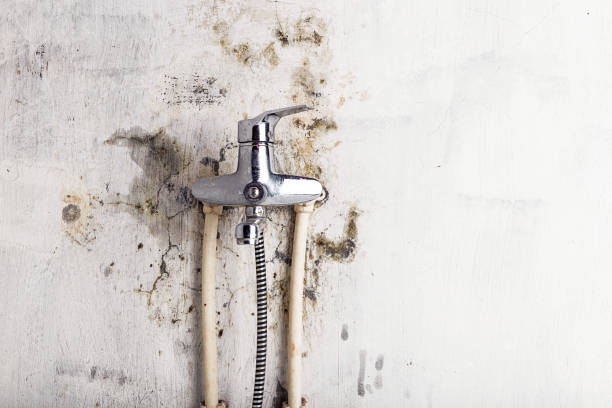 Water Damage Restoration in Mission Hills, KS