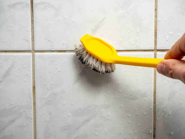 Best Affordable Mold Removal  in Mission Hills, KS