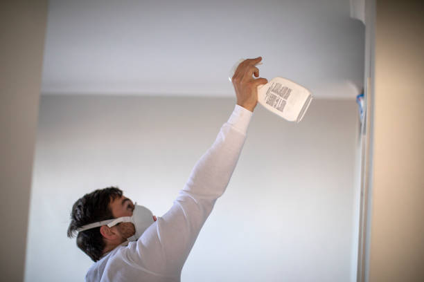 Best Fast Mold Removal  in Mission Hills, KS