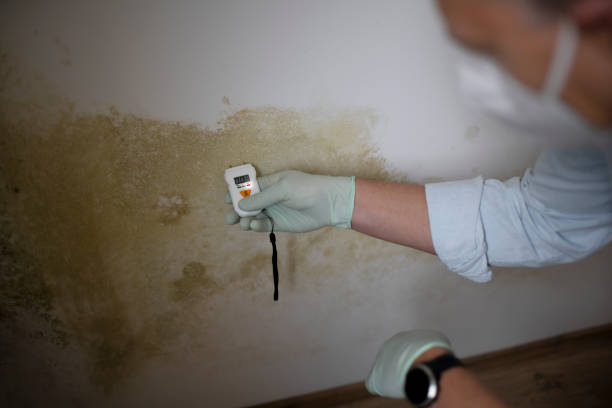 Best Mold Removal Specialists  in Mission Hills, KS
