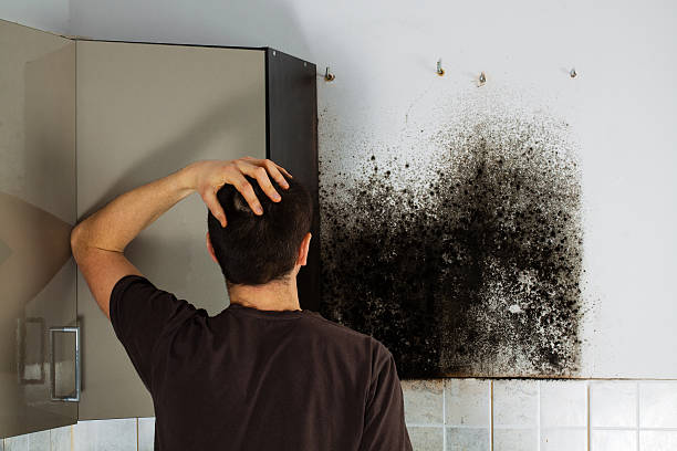 Best Emergency Mold Removal  in Mission Hills, KS