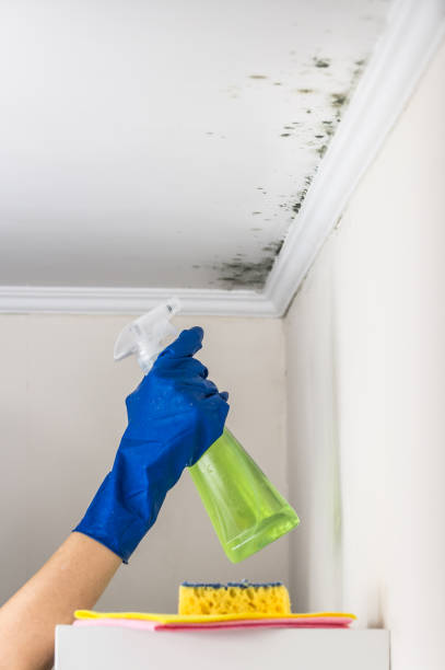 Best Office Mold Removal Services  in Mission Hills, KS